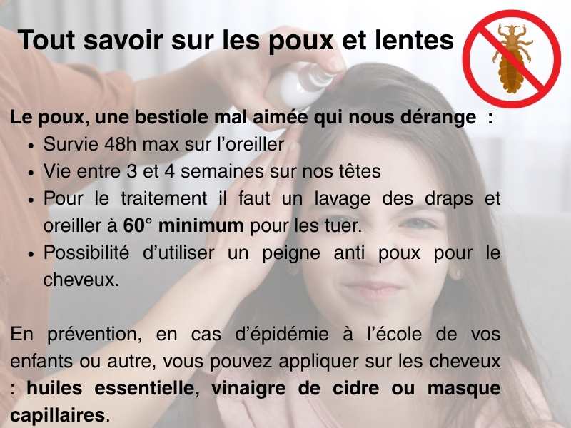 informations-traitement-et-vie-poux-et-lentes