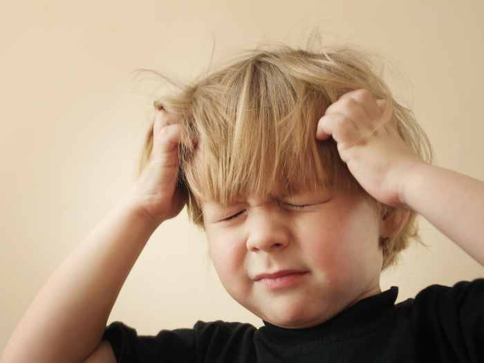 pourquoi-les-poux-provoquent-demengeaison